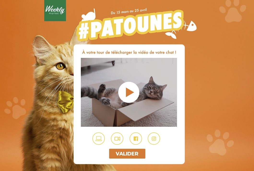 Concours video